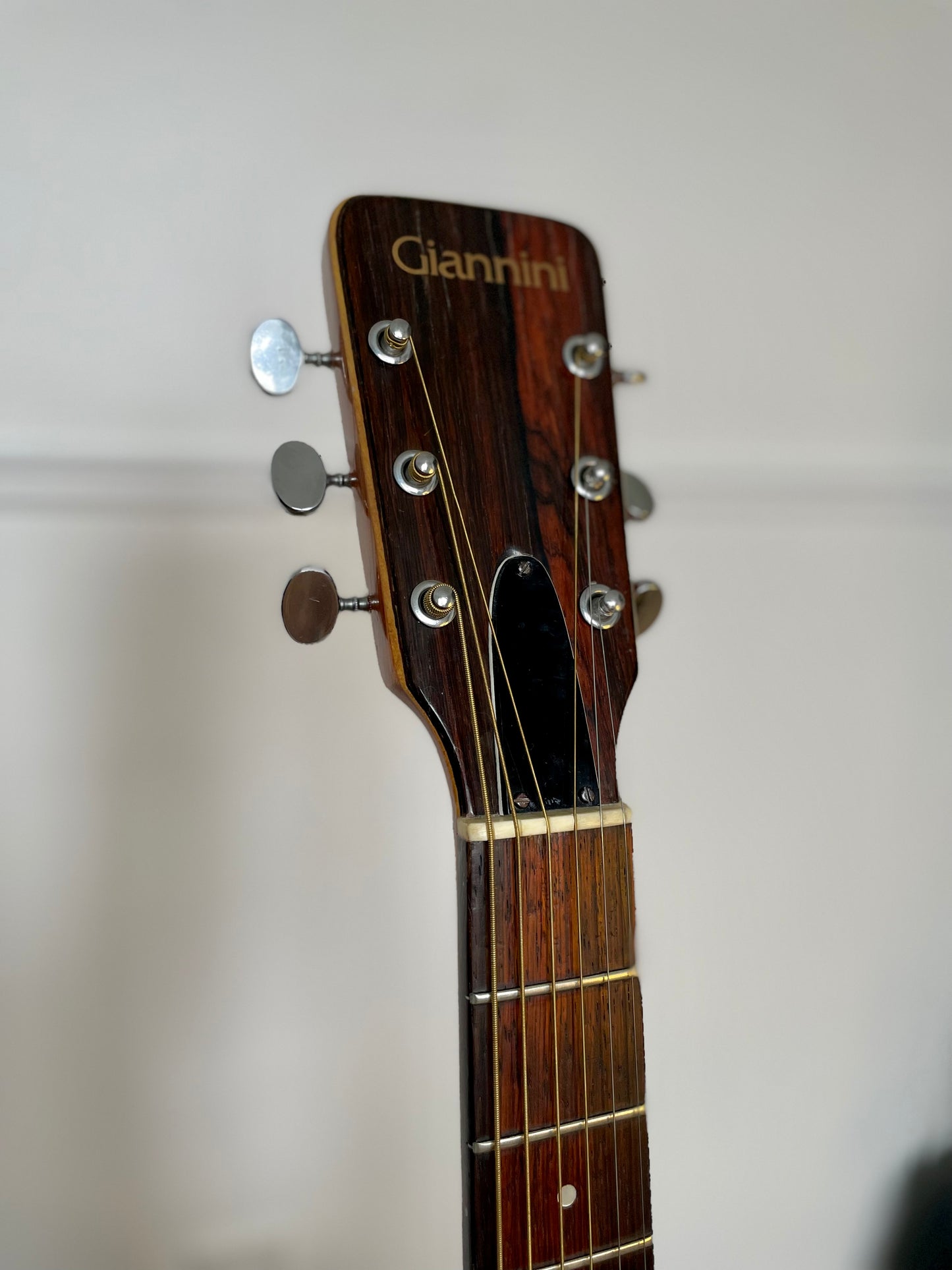 Giannini AWS 710 1974