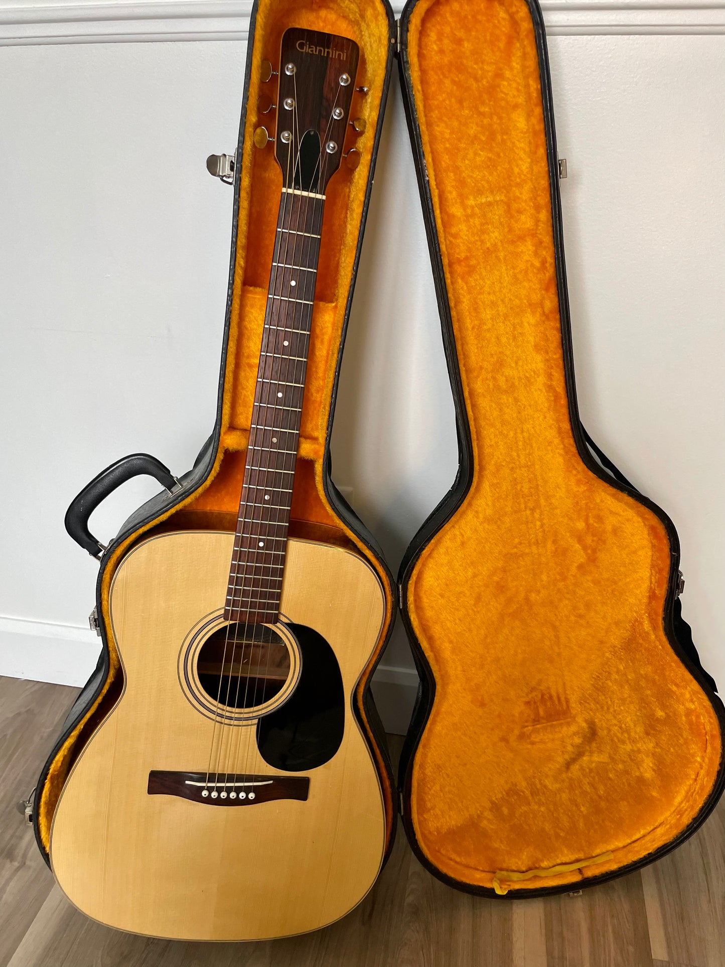 Giannini AWS 710 1974