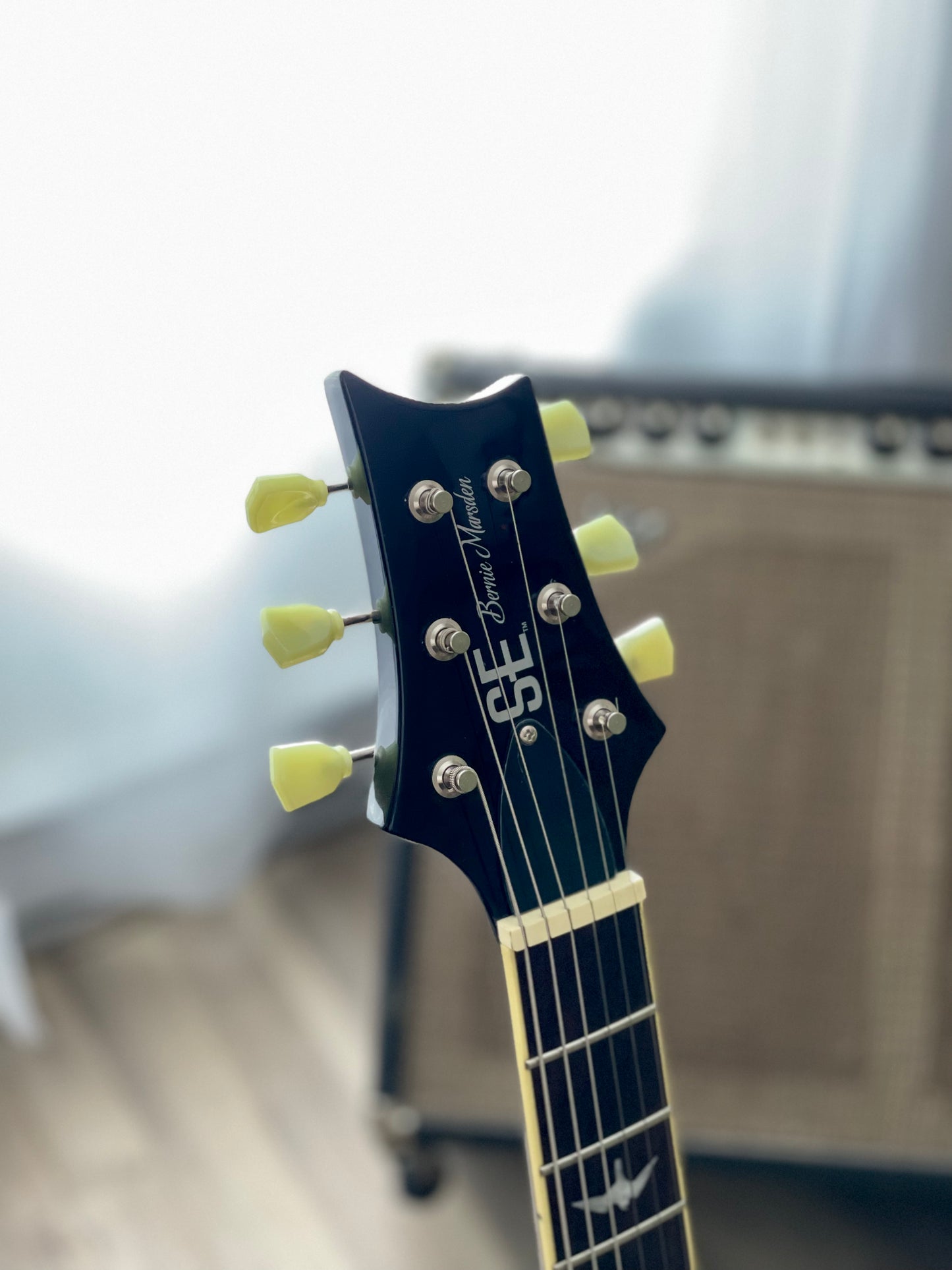 PRS SE Bernie Marsden