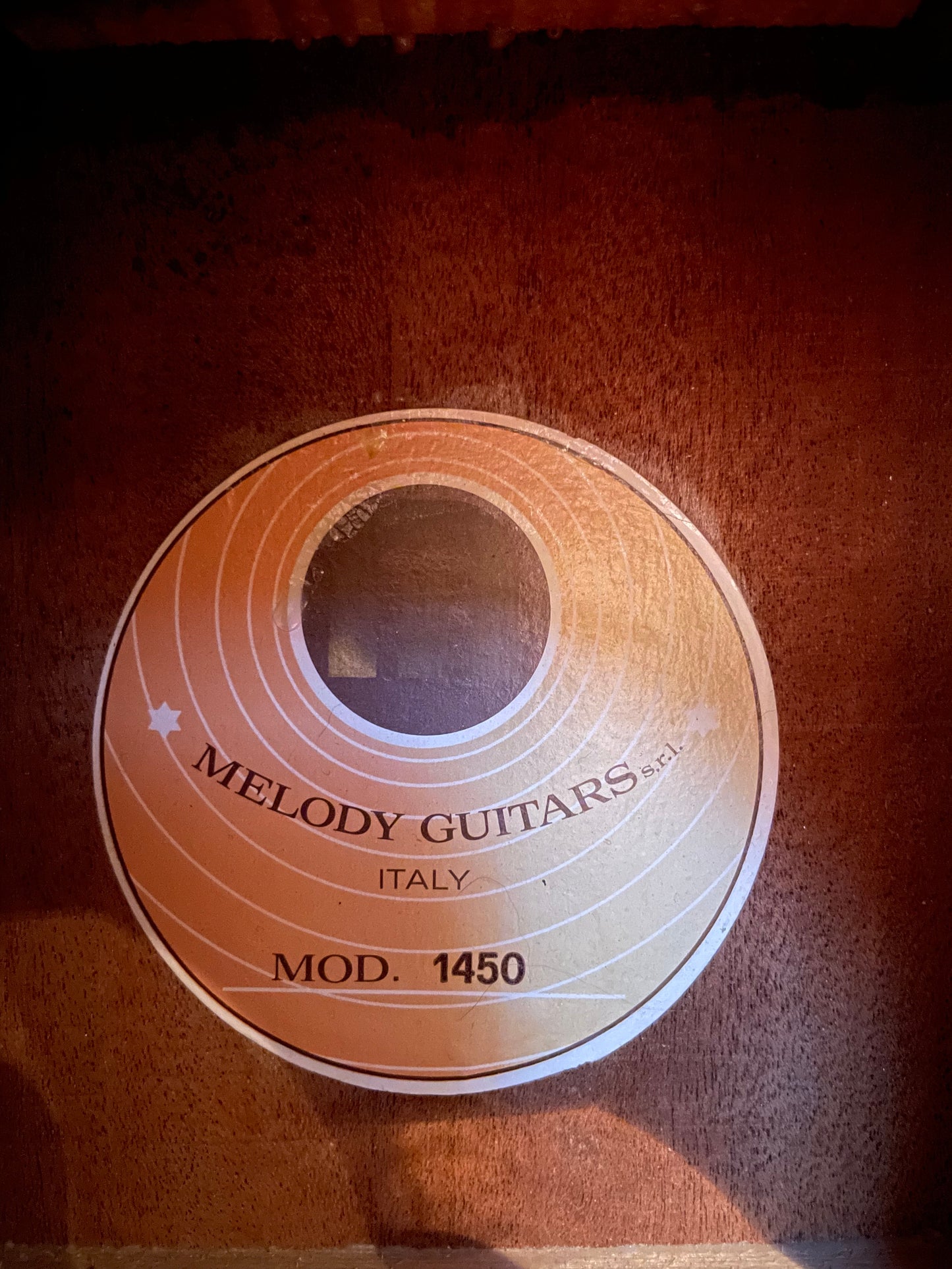 12 String Melody (Eko) - Italy 1970's