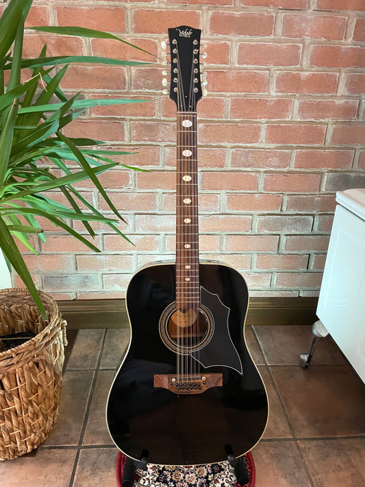12 String Melody (Eko) - Italy 1970's