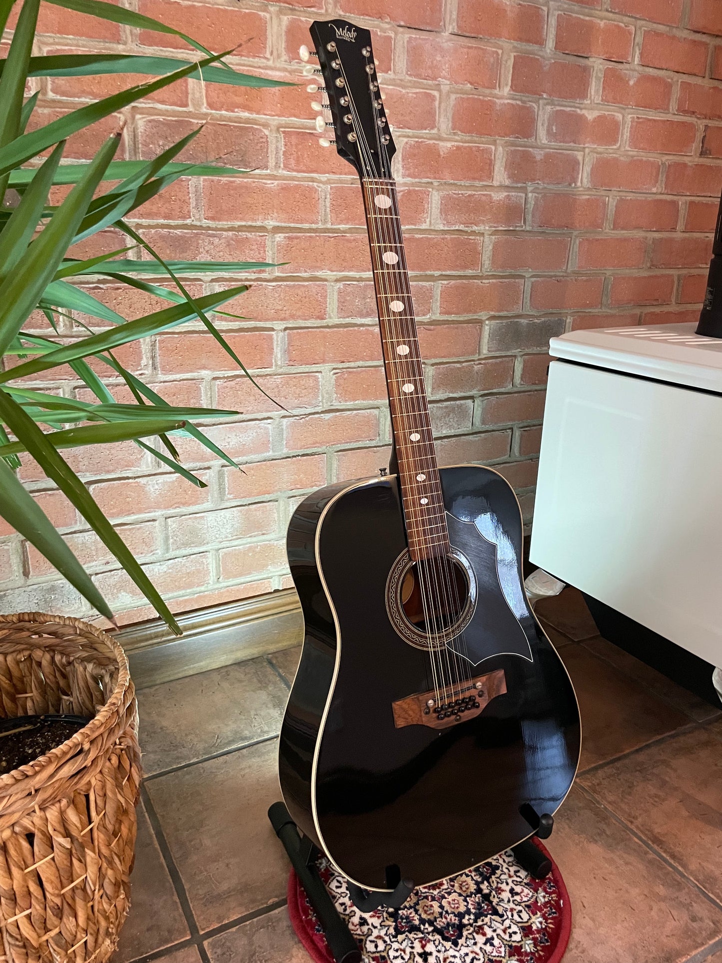12 String Melody (Eko) - Italy 1970's