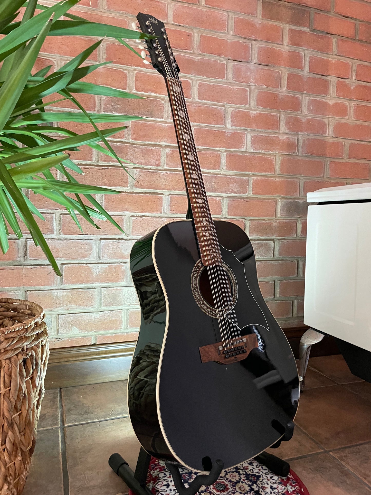 12 String Melody (Eko) - Italy 1970's