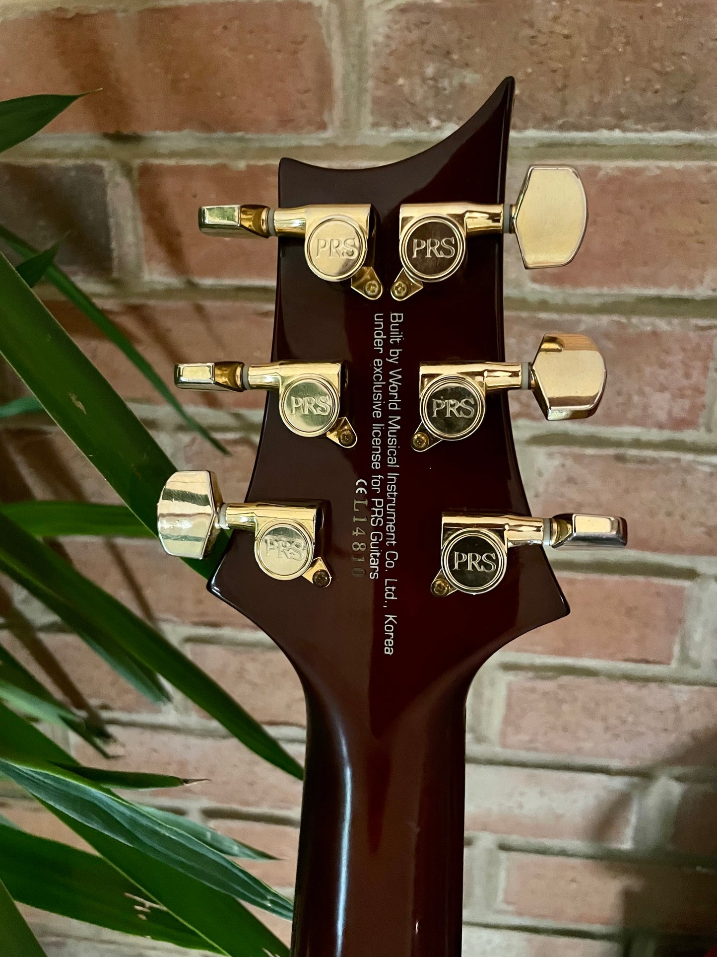 PRS SE Opeth's Mikael Akerfeldt Signature Guitar - 2011