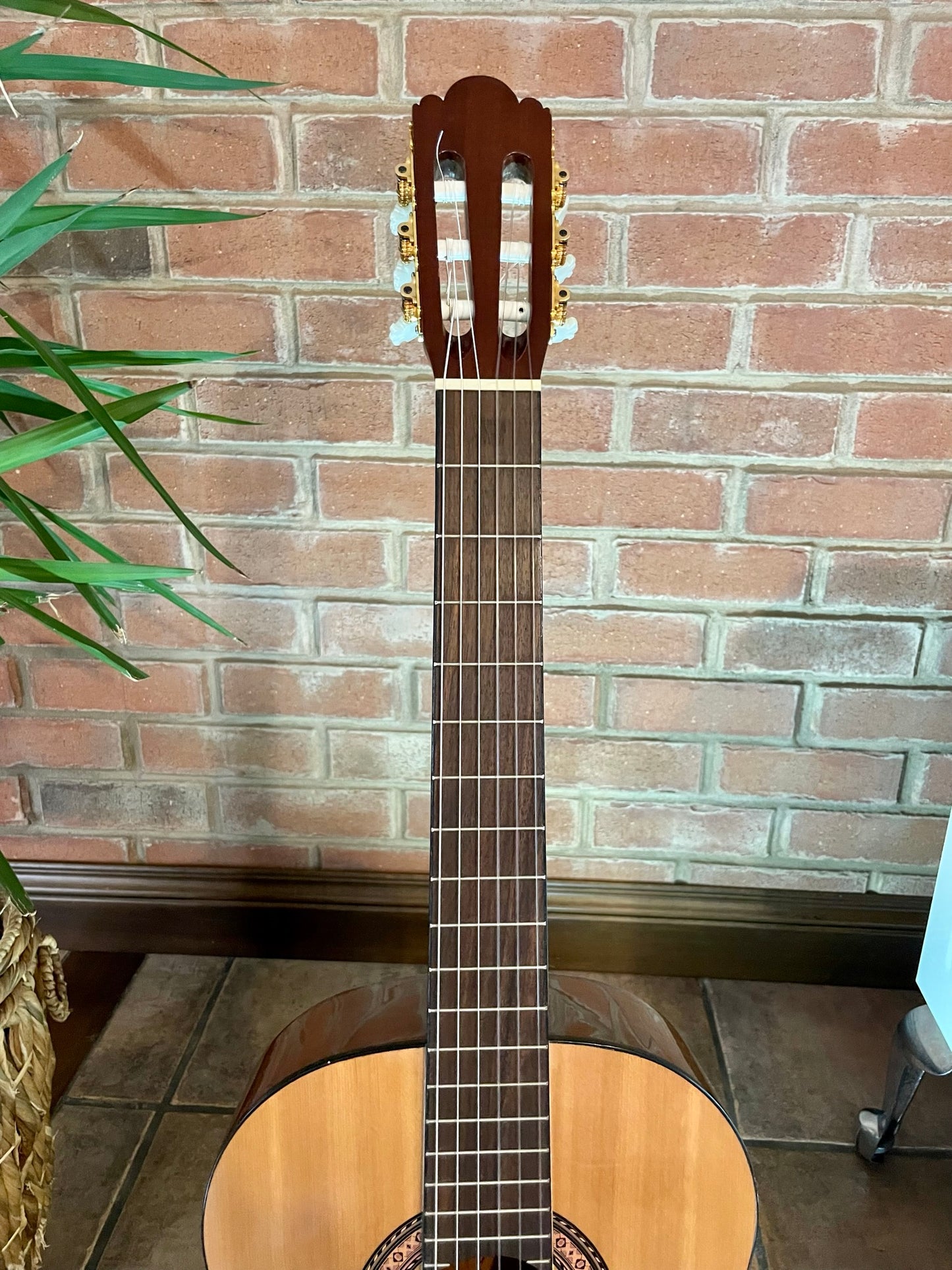 Spanish Classical Guitar - Unknow brand, Solid Top