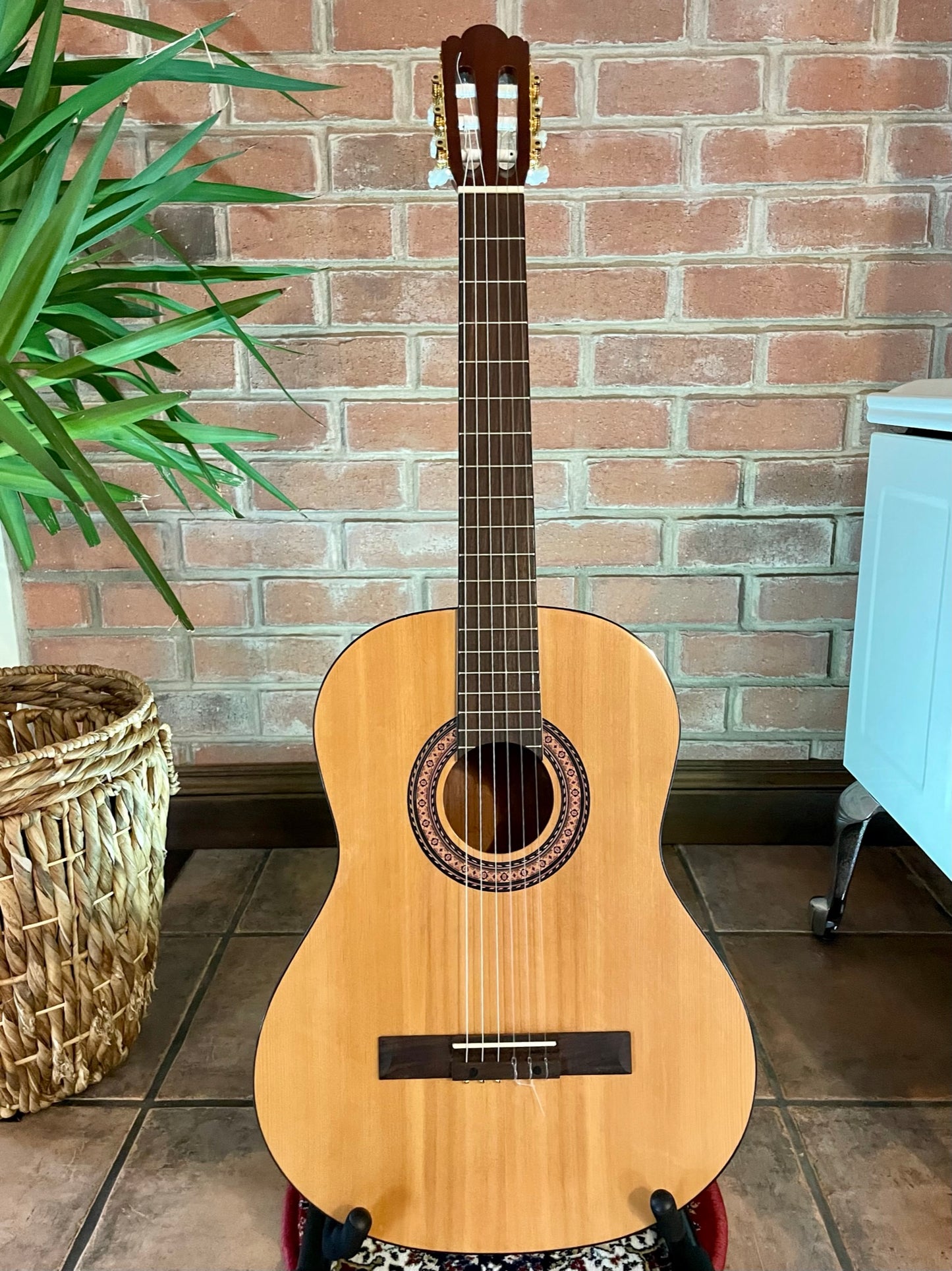 Spanish Classical Guitar - Unknow brand, Solid Top