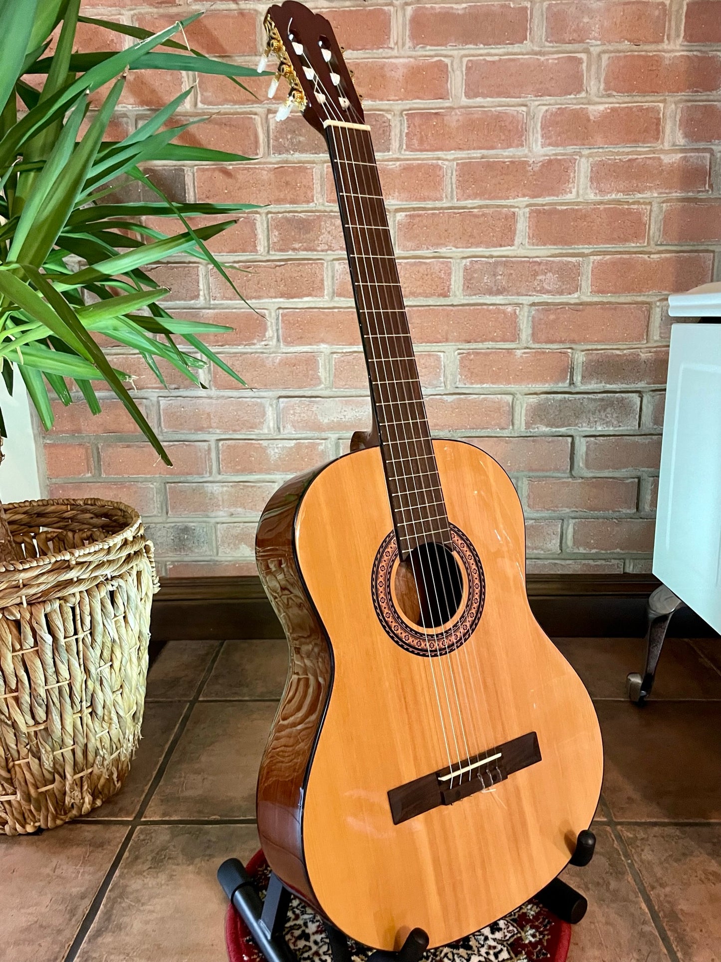 Spanish Classical Guitar - Unknow brand, Solid Top